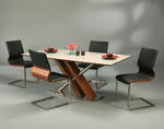 Charlize Dining Set (Stainless Steel & Walnut Veneer Finish)